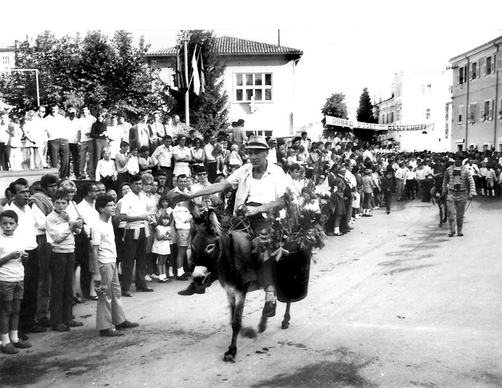 Dani grožđa u Bujama 1964